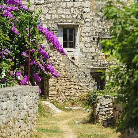 Fana Appartement